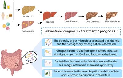 The gut microbiota: A new perspective for tertiary prevention of hepatobiliary and gallbladder diseases